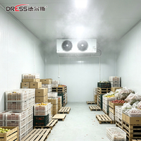 Chambre froide compacte sur mesure de 5 tonnes, système de refroidissement pour boucherie, prix usine