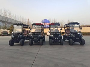 Fabricant professionnel de voitures de golf électriques tout-terrain pour clubs de chasse, scooter de golf électrique avec éclairage LED - Product Image 6