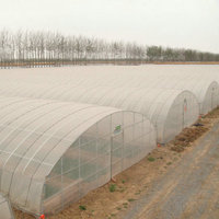 Serre végétale à travée unique Agriculture Potager utilisé Utilisé