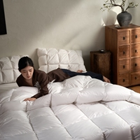 Nouvelle Couette Hiver 2026 en 50% Duvet de Canard Blanc, Doublure en Satin Doux, Anti-Fuite, Garnissage Épais pour Temps Froid