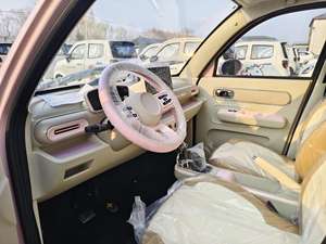 Véhicules électriques roses pour adultes, 60V, 4 portes, autonomie ultra-longue (80-100km), vitesse 45km/h, achats en gros - Product Image 5