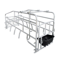 Offre Spéciale : Équipement d'élevage porcin – Cages de gestation pour porcs destinées aux fermes et l'élevage de bétail