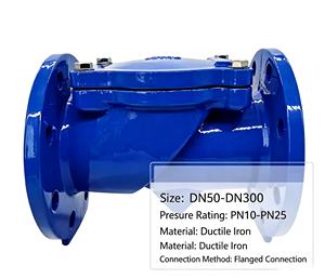 Valvola di ritegno in ghisa sferoidale GGG50 QT450 PN16 flangiata con rivestimento epossidico blu per tubazioni di approvvigionamento idrico e irrigazione - Product Image 2
