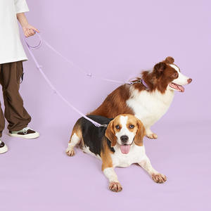 Wholesale PVC <b>Dog</b> Collar <b>Leash</b> Set Hands Free Waterproof <b>Dog</b> <b>Leash</b> - Product Image 4
