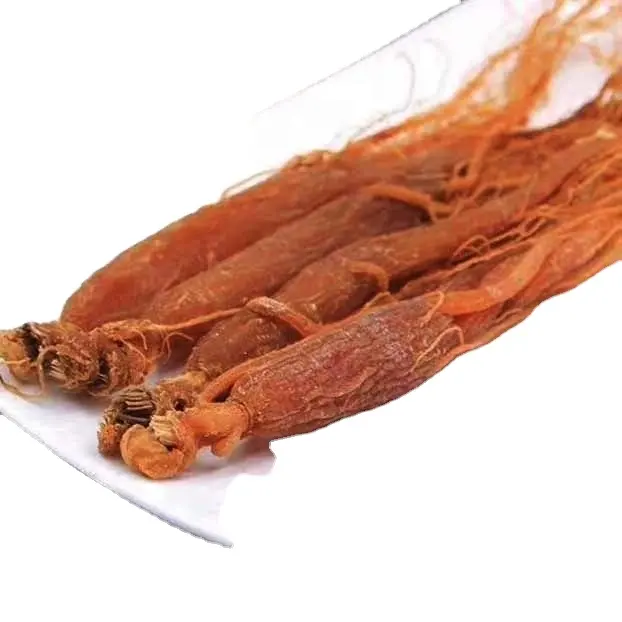 Korean Red Ginseng Root Red Korean Ginseng 6 Year