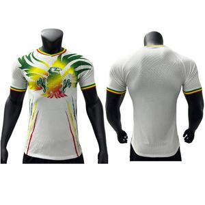 100% Polyester New Season Soccer Wear Spieler Version Sport hemd Maillot De Football Mali Fußball trikot - Product Image 1
