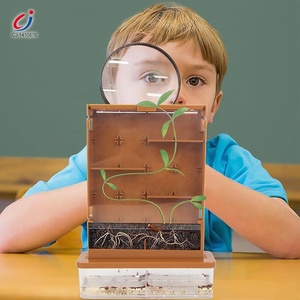 STEM Trò chơi giáo dục môi trường tuyệt vời khoa học trồng cây phát triển một nhà máy Mê Cung đồ chơi - Product Image 2