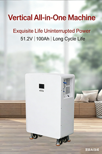 แบตเตอรี่ลิเธียมไอรอนฟอสเฟต Bibo 51.2V 15KWh สำหรับเก็บพลังงานแสงอาทิตย์สำหรับบ้าน ความจุขนาดใหญ่ 51.2v 15kwh ระบบโซลาร์เซลล์สำหรับบ้าน - Product Image 6