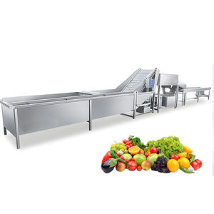 Línea Modular de Procesamiento de Vegetales: Corte, Lavado, Desinfección y Empaquetado Todo en Uno para Comercializadores de Alimentos - Product Image 1