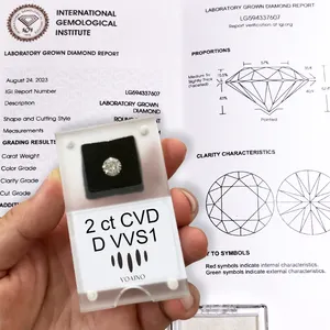 Voaino 0.01-2ct Witte Ronde Losse Melee Synthetische Lab Gemaakt Diamant Gia Igi Gecertificeerd Hpht Cvd Lab Geteeld Diamant China