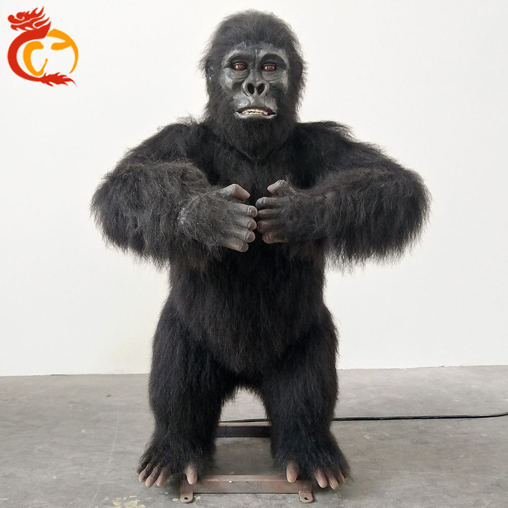 ลิงชิมแปนซี