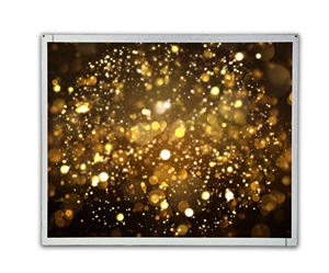 Pantalla LCD Inteligente de Alta Definición M170ETN01.1, Monitor LCD TN con Control Táctil Industrial - Product Image 1