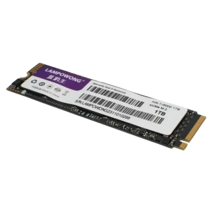 LAMPOWONG Professional 2テラバイトPcie Nvme Gen3 M.2 2280ノートブックハイエンド価格用内蔵SSD