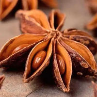 Anis étoilé entier séché naturel, épice en vrac, qualité A, casher, halal, nouvelle récolte, emballage sous vide