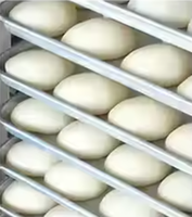 Máquina de fermentación industrial comercial, retardador de masa refrigerado, prueba de fermentación temporizada en panadería para harinas