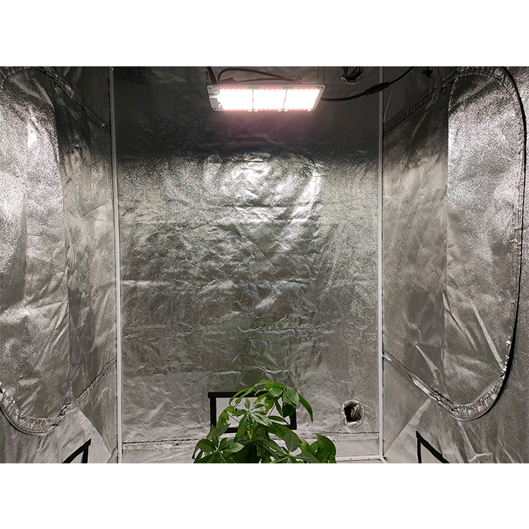 Waterproof Solderless Led Cob Chip On Board 50w 100w Full Spectrum Grow Light