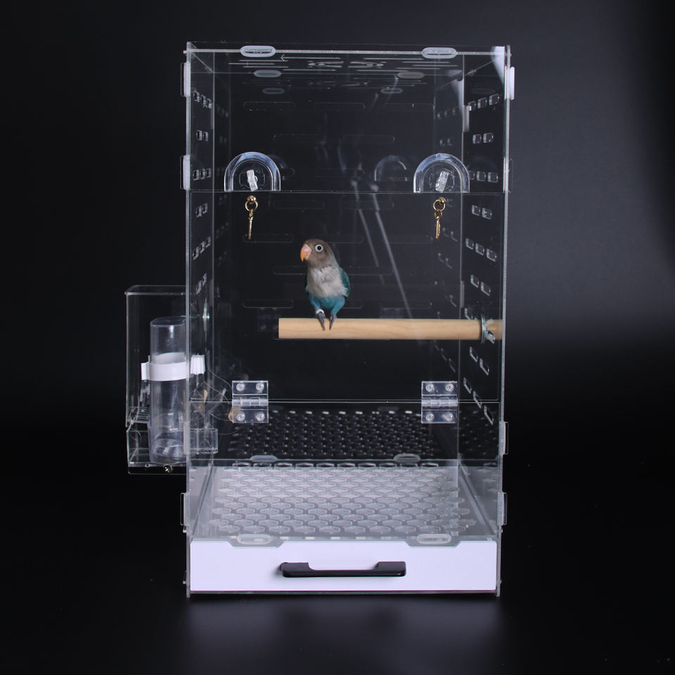 Gallery Detail: Custom Clear Acrylic Parrot Cages
