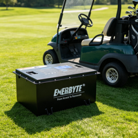 Baterai Lithium untuk Golf Cart 51.2V105ah Li-ion