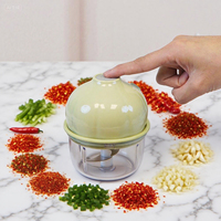 Mini hachoir portable 250 ml multifonction pour viande, légumes et sauces, avec lame en acier inoxydable, automatique, sans fil, pour la cuisine