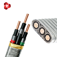 Cable ESP para Bomba Sumergible de Aceite, con Aislamiento de Poliimida-EPDM/plomo, Armadura de Tira de Acero MONEL, Cable Plano con Alambre de Plomo