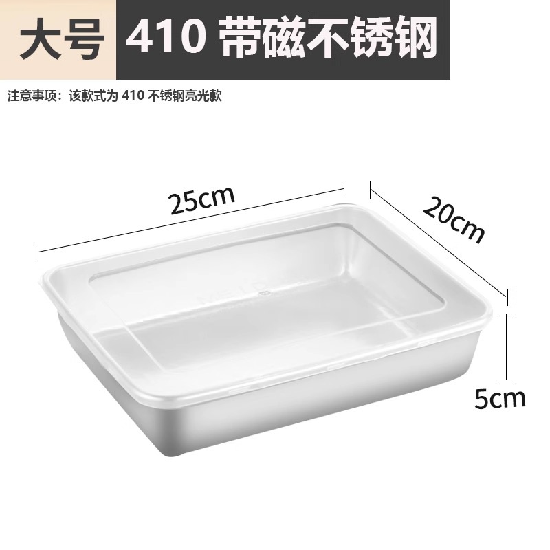 Large size food storage container with lid [25*20*5.5 cm]