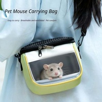 Sac de transport de luxe doublé et respirant pour animaux de compagnie, avec maille pliable, mini sac de voyage transparent pour petits animaux de poche