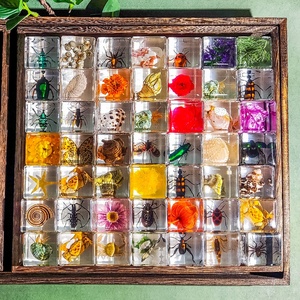 Cube en résine ambre transparente avec ressource pédagogique de spécimen d'insecte pour l'artisanat époxy papillon araignée scorpion - Product Image 6