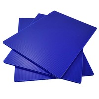 Vente directe usine Welldon Plaque plastique alvéolaire en PP pour panneau de jardin, plaque Corex