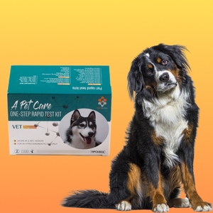 Kits de test rapide combinés pour chiens : Giardia/Cryptosporidium/Rotavirus/BCV Ag pour usage vétérinaire - Product Image 6