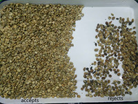 2025 WENYAO CCD trieurs de couleurs pour grains de café café cerise trieuse avec la meilleure précision de tri