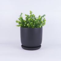 Pots de fleurs d'intérieur décoratifs modernes et nordiques avec logo personnalisé, pots de fleurs d'intérieur de différentes tailles pour la maison et le jardin, design original