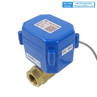 Mini robinet à tournant sphérique motorisé en laiton à deux voies de 3/4 pouces avec actionneur 24v 220v équipement de conduite d'eau à bas prix OEM pris en charge