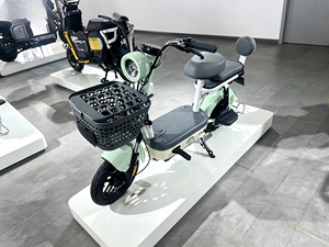 Bicicleta Eléctrica Urbana Compacta E Moto 350W, Doble Amortiguación, Asiento de Alta Elasticidad para Viajes Diarios - Product Image 3