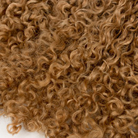 Meilleures ventes : Lots de 100 mèches de cheveux humains Remy, Ondulation Afro Jerry Curly # 27 Extensions de cheveux à double trame machine