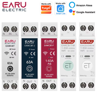 Disjoncteur intelligent WiFi Tuya EWeLink MCB 1P+N 63A avec relais temporisé, compteur d'énergie kWh, protection contre les surtensions et télécommande