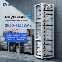 Module de batterie solaire Deye BOS-G Por 51.2V 25.6kWh-81.92kWh, stockage d'énergie ESS, montage en rack, batteries lithium-ion haute tension