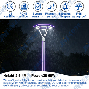 Lampe <span class=keywords><strong>solaire</strong></span> LED de cour de haute qualité, finition personnalisée, poteau en aluminium, approvisionnement en matériaux - Product Image 5