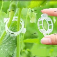 Clips de support et piquets de treillis en plastique modernes et durables pour tomates et vigne grimpante - Fournitures de jardin en PP