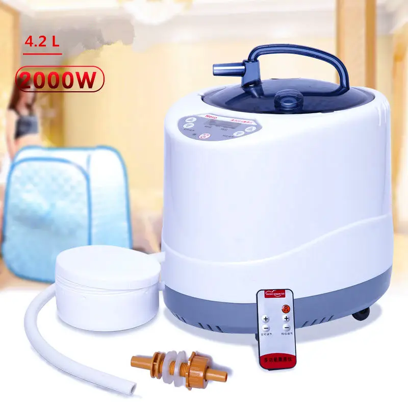 2000W Portable 4.2 Liters Electric Sauna Heater Wet Steam Generator with EU/US Plug Modern Design for Indoor Sauna Room