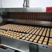 Four à vapeur tunnel Limai 380V personnalisable, haute rigidité, haute sécurité, haute productivité, programmable automatiquement pour maïs et fruits