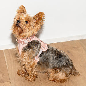 Arnés de polietileno elástico suave personalizado, juego de arnés para perros, resistente al agua, ligero, flexible, recubierto de Pvc, correa para perros - Product Image 5