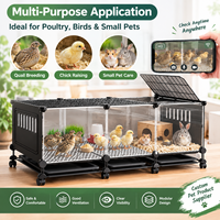Boîte d'élevage transparente pour volailles, cage d'élevage pour poussins, canards, cailles, élevage, ferme, incubateur