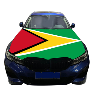Couverture <span class=keywords><strong>de</strong></span> capot <span class=keywords><strong>de</strong></span> voiture nationale abordable drapeau Guyana couverture <span class=keywords><strong>de</strong></span> moteur <span class=keywords><strong>de</strong></span> voiture drapeau vente directe d'usine tissu polyester - Product Image 4