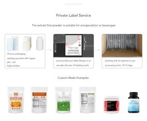 Vital Green China - Extracto de Hongo Ganoderma Lucidum Reishi Orgánico en Polvo con 40% de Polisacáridos, Grado Alimenticio, en Envase de Vidrio - Product Image 5