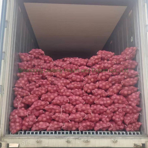 Cebolla Fresca para Exportación, Cebolla Roja y Cebolla Amarilla, Nueva Cosecha - Product Image 6