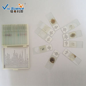 Estudiante gography enseñanza diapositivas geografía molienda sección diapositivas mineral molienda delgada diapositiva preparada - Product Image 1