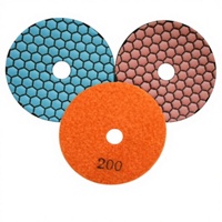 Tampons de polissage diamantés à sec de 5 pouces avec design le plus vendu pour polisseuse manuelle