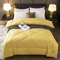 Couette en soie été hiver couette reine taille double literie en soie chinoise couette insérer couette couverture pondérée couette