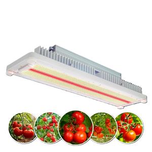 Lampes de croissance pour plantes à LED HPS à double spectre haute efficacité 600W, spectre complet simulant la lumière naturelle pour une croissance optimale - Product Image 2