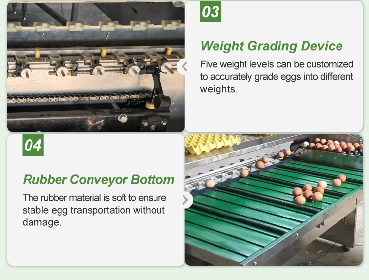 egg grader machine automatic